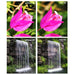 ND Filter Voorbeeld